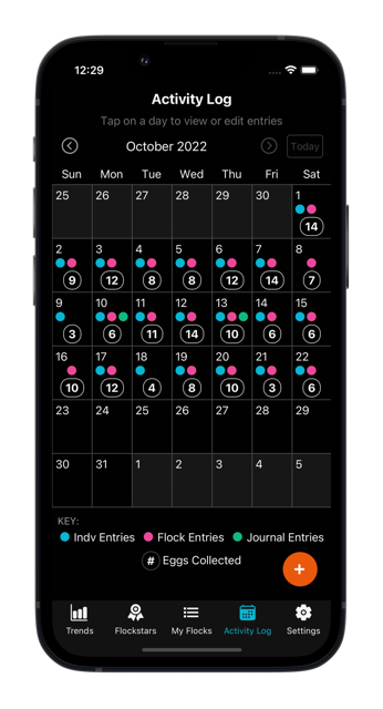 Screenshot or Activity screen